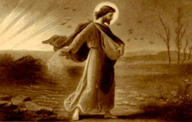 PALABRA DE DIOS VIERNES DE LECTURA ¿Con qué compararemos el Reino de Dios? ¿Con qué parábola lo podremos representar?