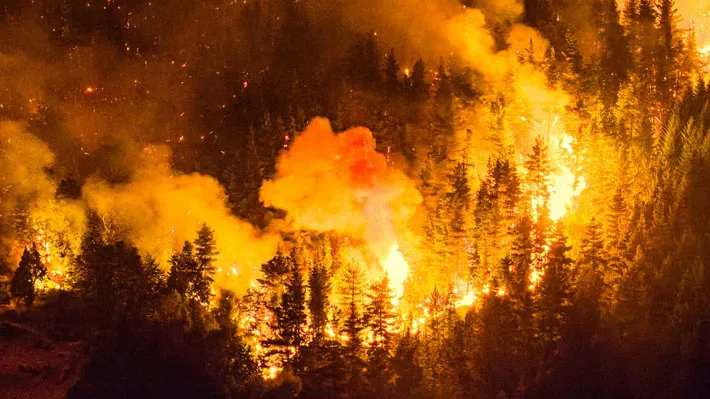 EMERGENCIA EN LA PATAGONIA: CINCO FOCOS ACTIVOS DEVASTAN MILES DE HECTÁREAS Y OBLIGAN A EVACUACIONES CRÍTICAS