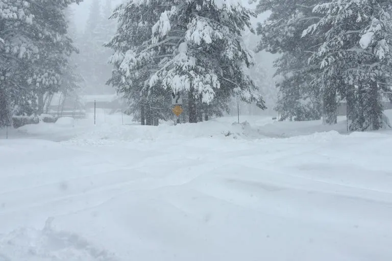 MILAGRO EN LA NIEVE: Hallan con vida a 6 esquiadores tras avalancha en California