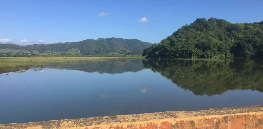 Presa de Hatillo está llena de toxinas peligrosas para los humanos, animales y siembras