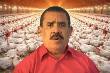 Exige rescate de 303 pequeños avicultores que está en quiebra