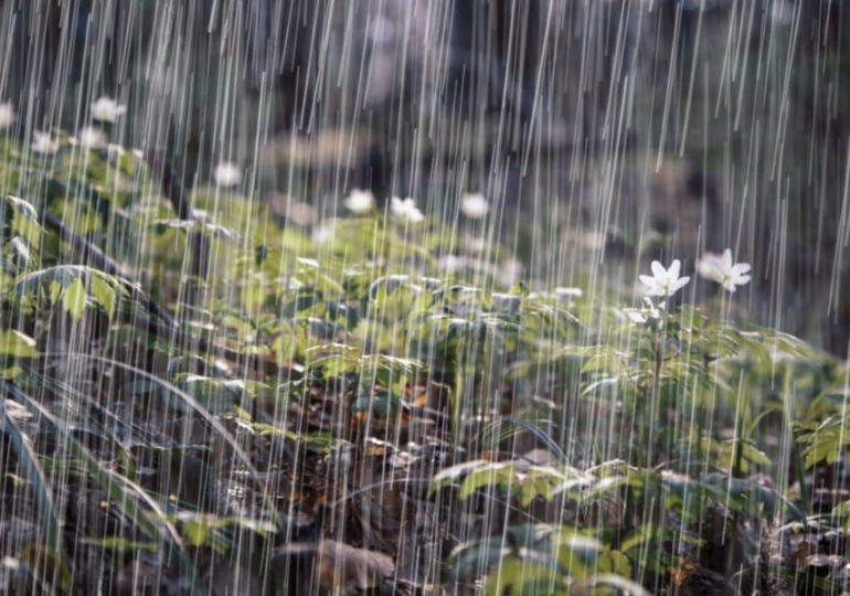 Frente frío y vaguada producirán lluvias este martes