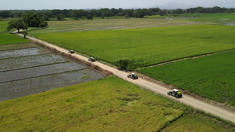 Producción de arroz cae mientras crecen importaciones en República Dominicana