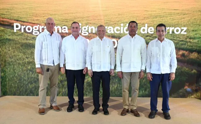 Banreservas destina RD$12,000 millones para financiar producción de arroz 2026-2027