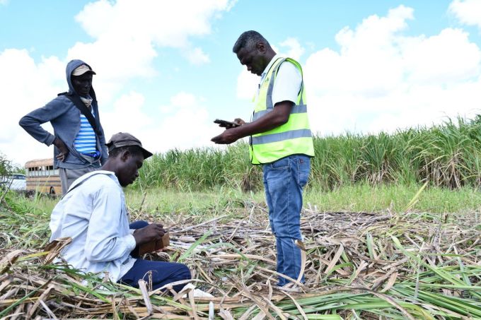 R. Dominicana ejecuta ofensiva para erradicar trabajo infantil