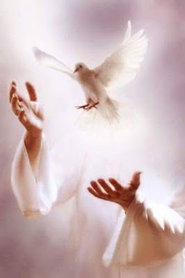PALABRA DE DIOS DOMINGO DE LECTURA Si me aman, cumplirán mis mandamientos; yo le rogaré al Padre y él les dará otro Paráclito.