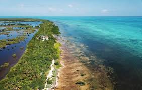 Gobierno de México rechaza megaproyecto turístico en el Caribe