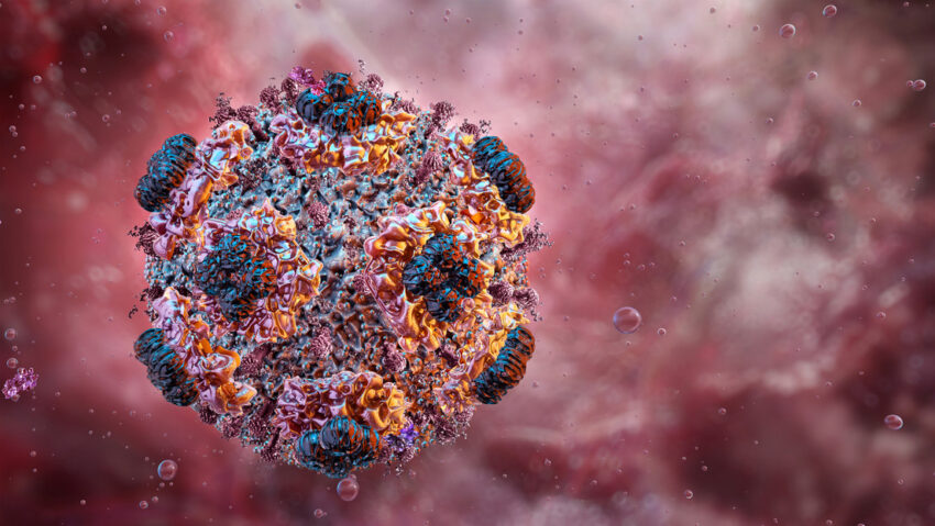 Una cepa contagiosa de hantavirus podría permanecer oculta en el organismo durante años