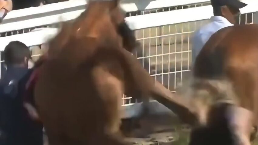 Una mujer es lanzada violentamente por los aires por una coz de un caballo