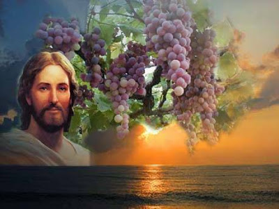 PALABRA DE DIOS MIERCOLES DE LECTURA Yo soy la vid, ustedes los sarmientos.