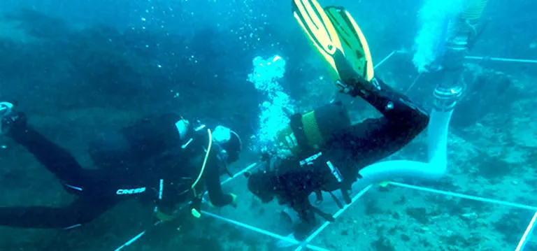 ¡Cementerio de Gigantes!: Arqueólogos descubren más de cien barcos hundidos en las profundidades de Gibraltar