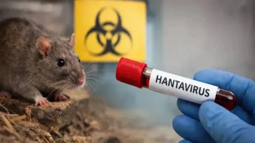 Hantavirus en un crucero: dos nuevos casos, cinco bajo sospecha 