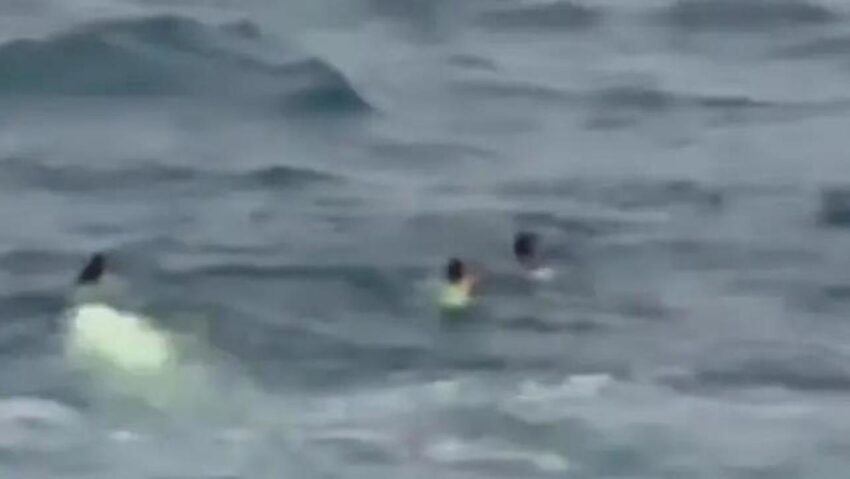 Una poderosa ola arrastra a varios miembros de una familia al océano en EE.UU.