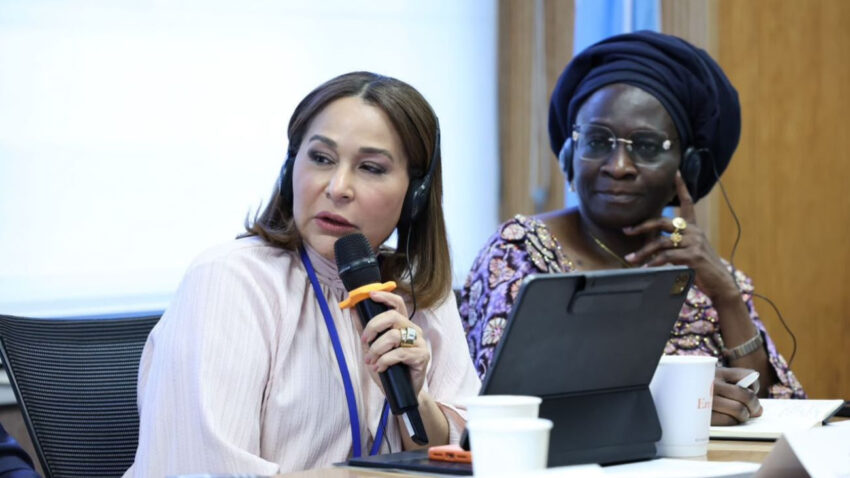 Directora Supérate destaca la estrategia de protección social en la República Dominicana durante participación en la ONU