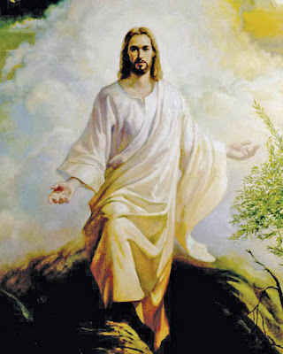 PALABRA DE DIOS SABADOS DE LECTURA Ya vendrán días en que les quitarán al esposo, y entonces sí ayunarán.
