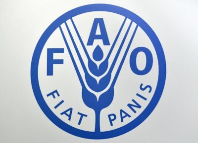 Reaccionan ante anuncio de la FAO de que RD redujo hambre