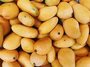 Agricultura confirma Estados Unidos suspendió la importación de mangos desde República Dominicana; llevaba tres años haciendo advertencia
