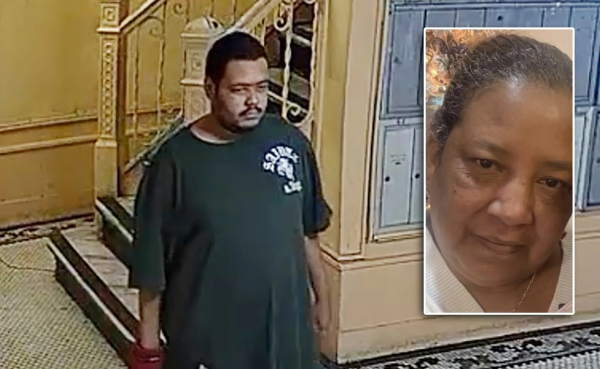NY: Dominicana encontrada muerta fue apuñalada por hijo