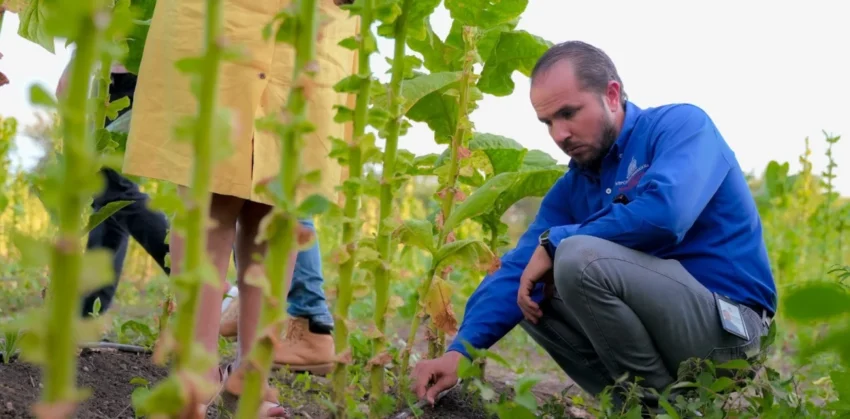 Gobierno invertirá US$476.9 millones en tecnificación del riego agrícola hasta 2033