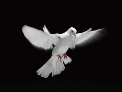 PALABRA DE DIOS SABADOS DE LECTURA A aquel que blasfeme contra el Espíritu Santo, no se le perdonará.