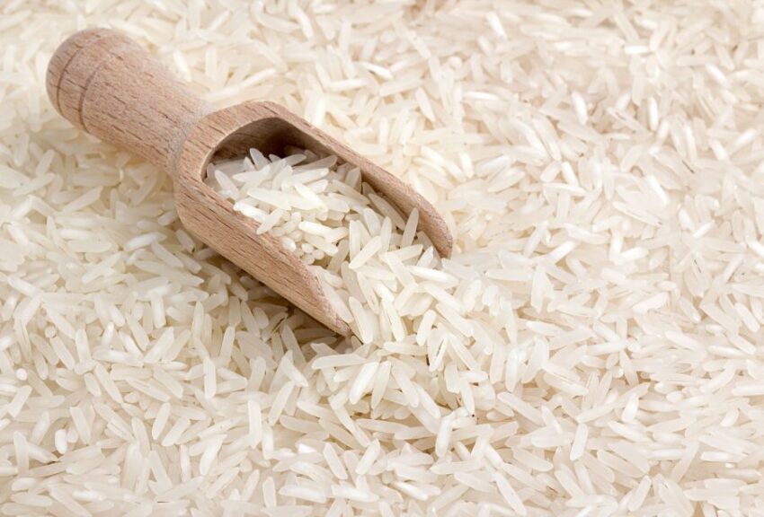 Producción nacional de arroz enfrenta riesgos tras derogación en 2026